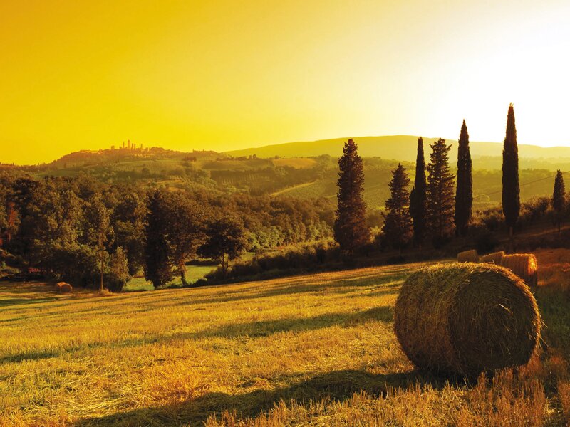 Corso di Formazione Continua in Marketing Internazionale del Vino - Firenze - IED