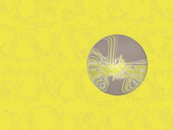 Diploma Accademico di Secondo Livello (DASL) in Fashion Design - IED Milano