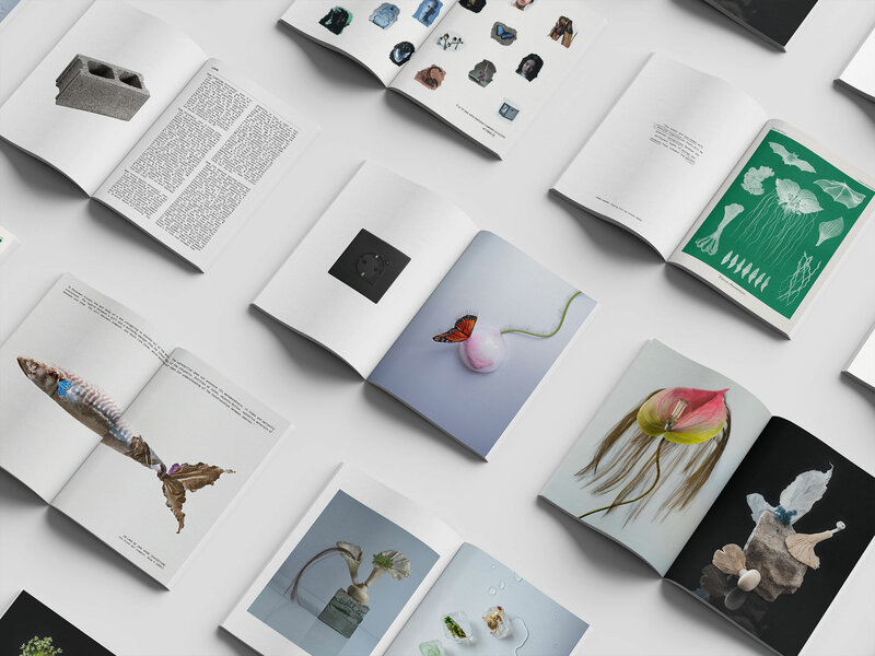 Diploma Accademico di I Livello in Fashion Marketing and Communication - IED